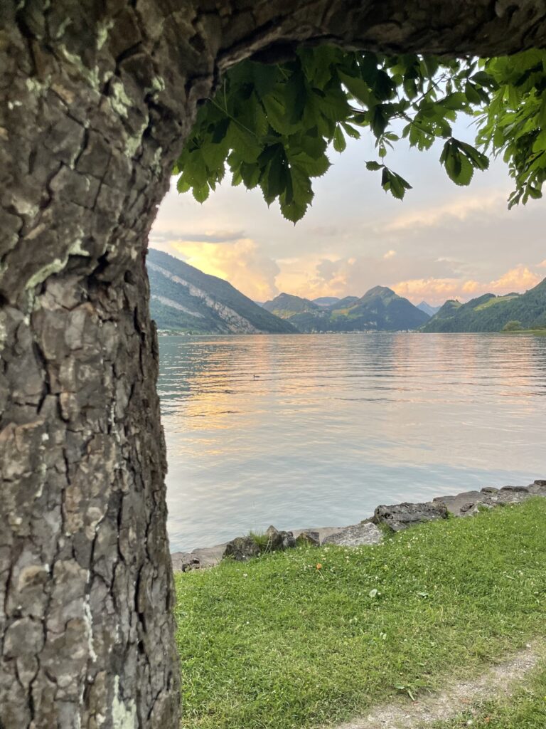 Klavierunterricht für Fortgeschrittene